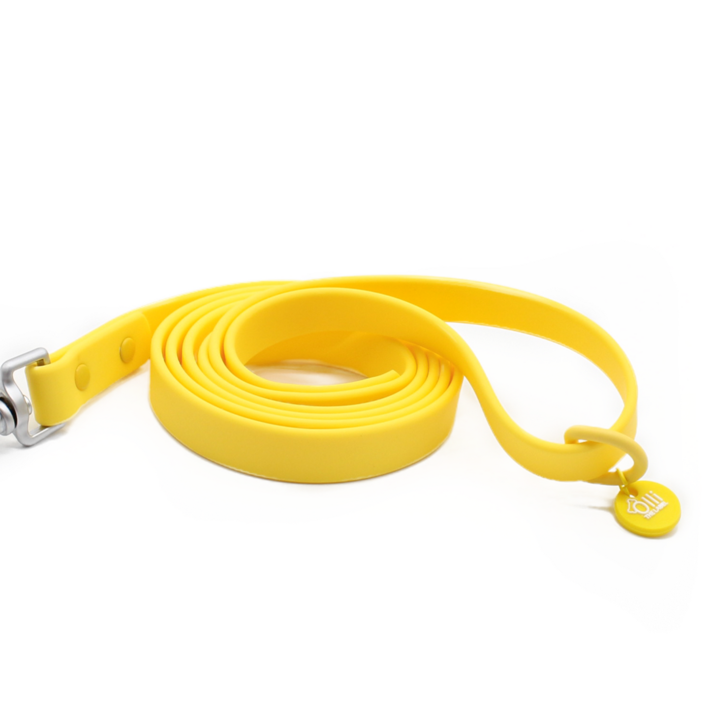 Mango Yellow Pawfect Pair- Waterproof Lead + Collar