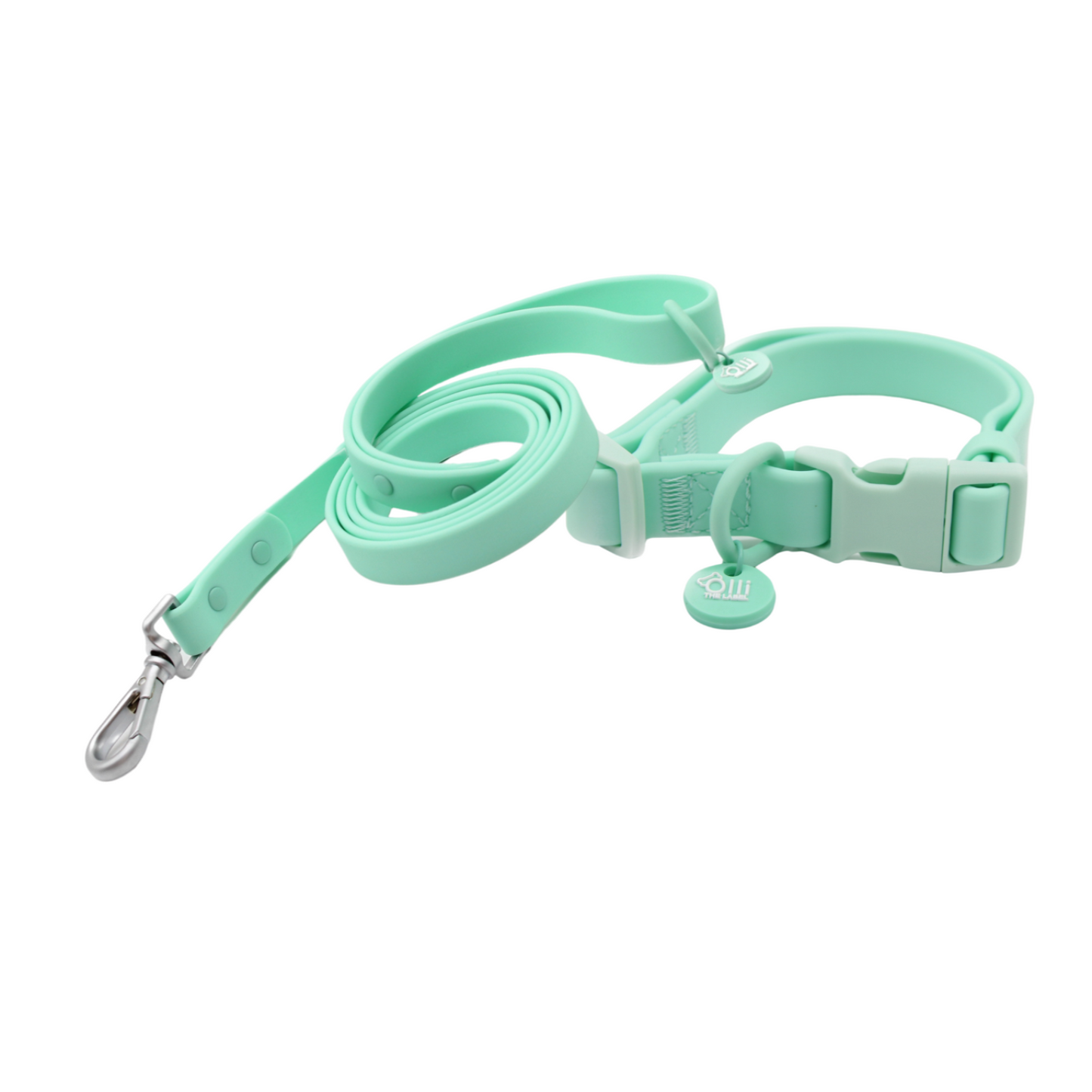 turquoise lead + collar