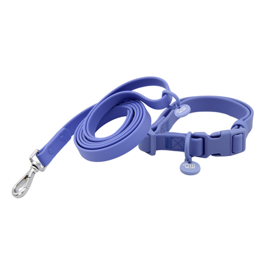 periwinkle purple lead + collar