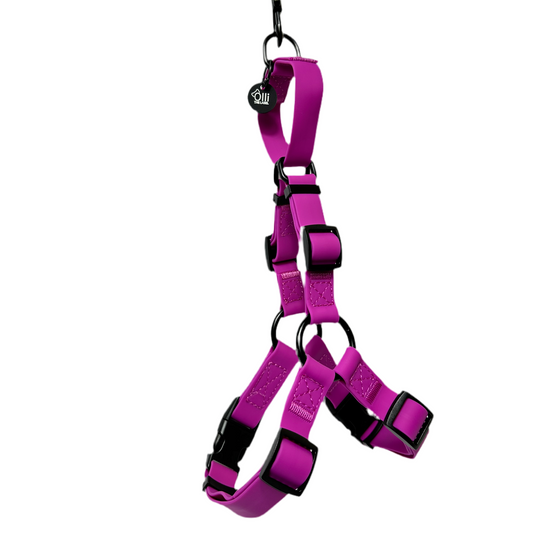purple fuchsia harness