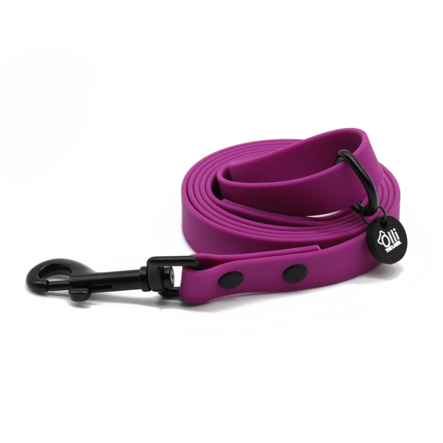 Purple Fuchsia Pawfect Pair- Waterproof Lead + Collar