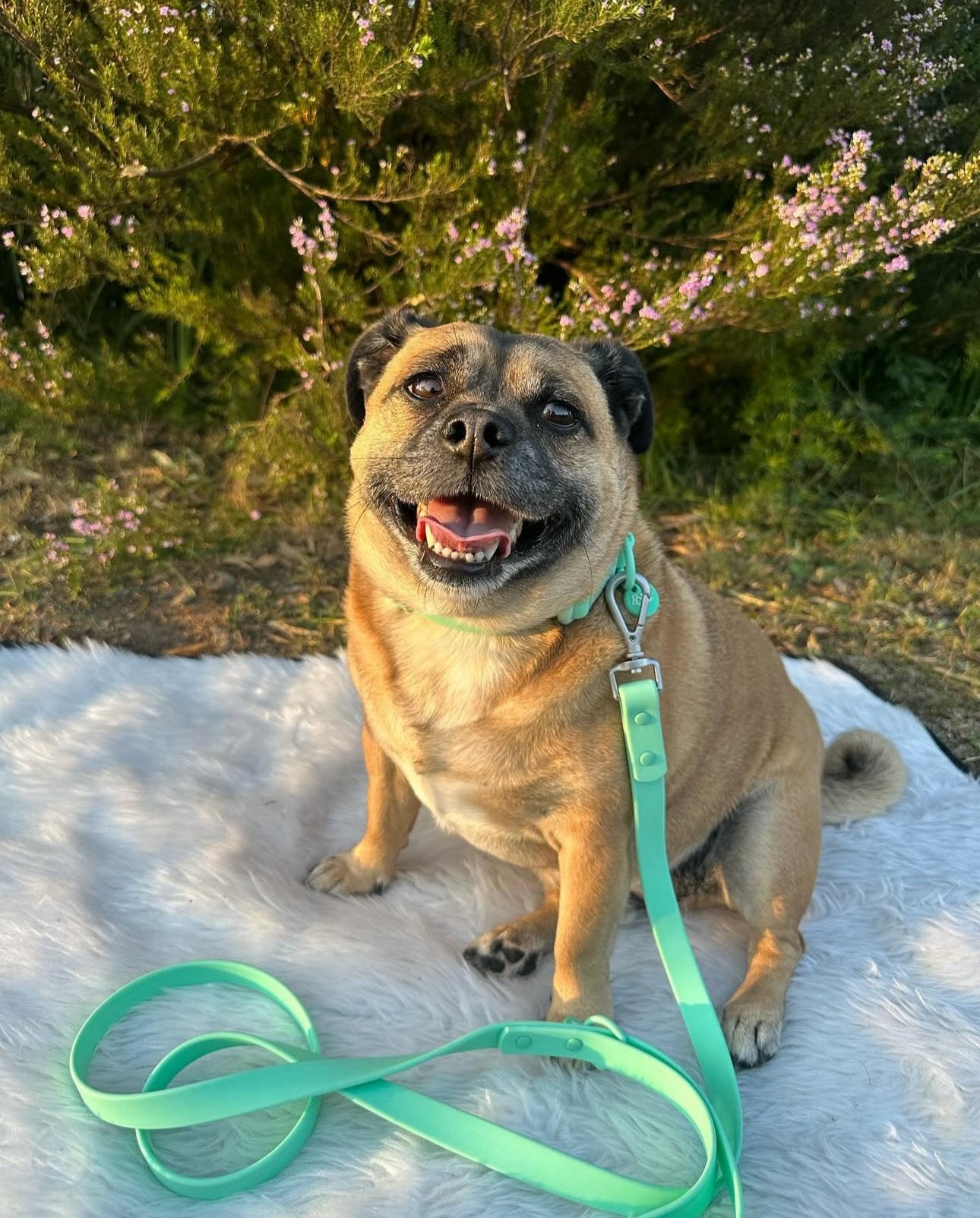 Turquoise Waterproof Lead