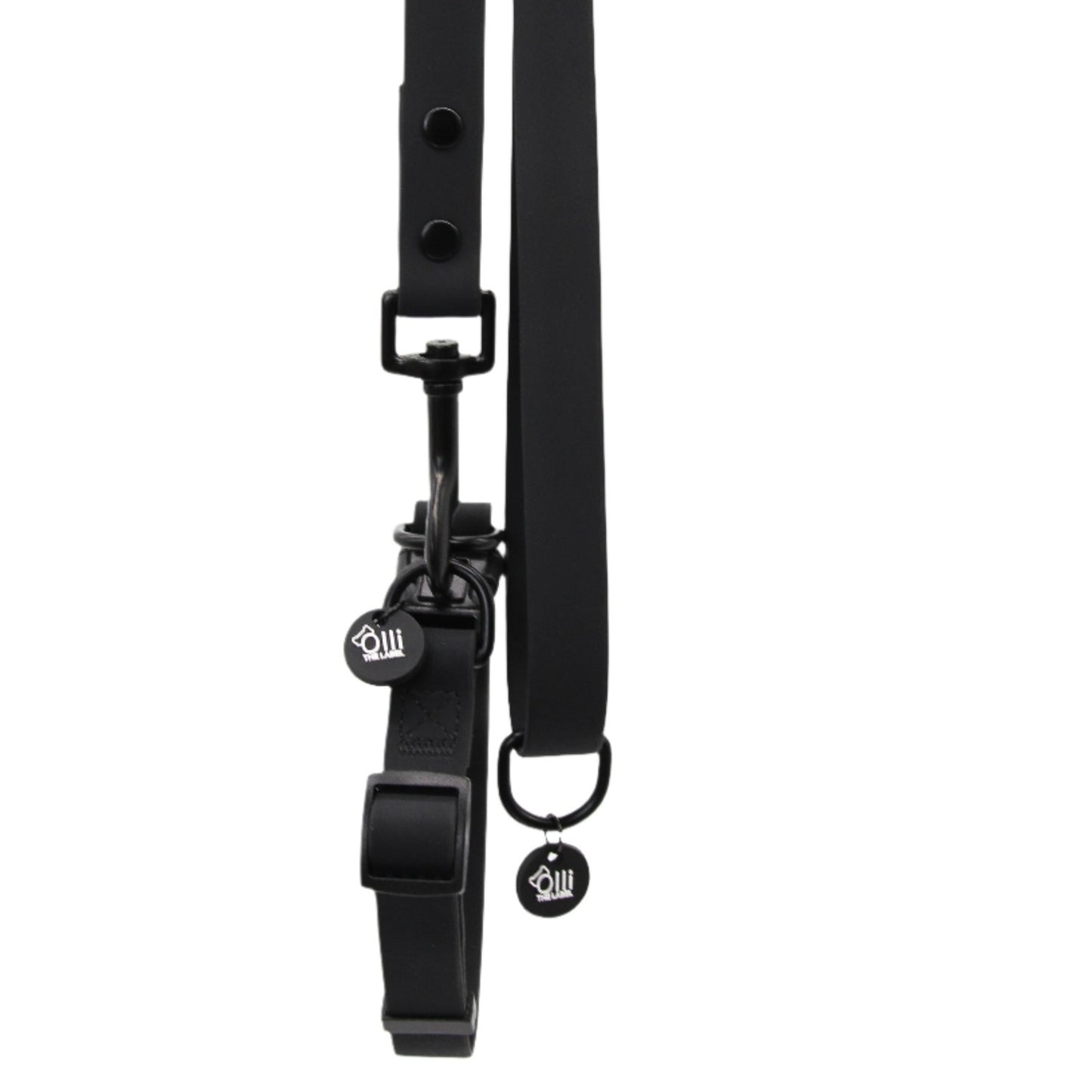 neutral black lead + collar