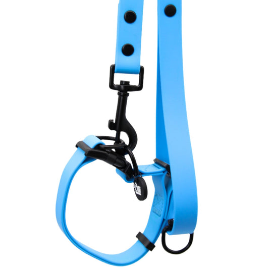 olli blue lead + collar