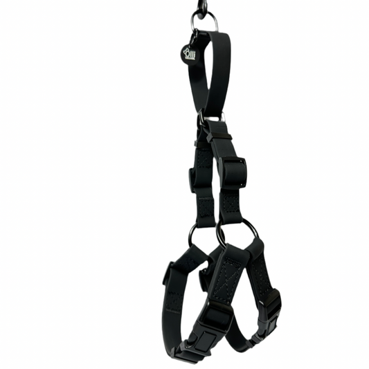neutral black harness
