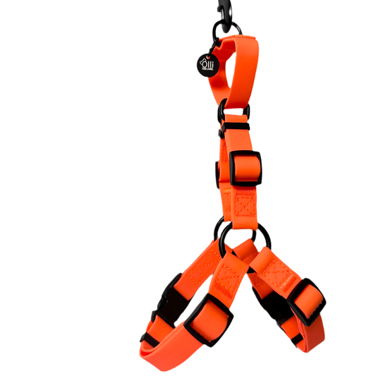 neon orange harness