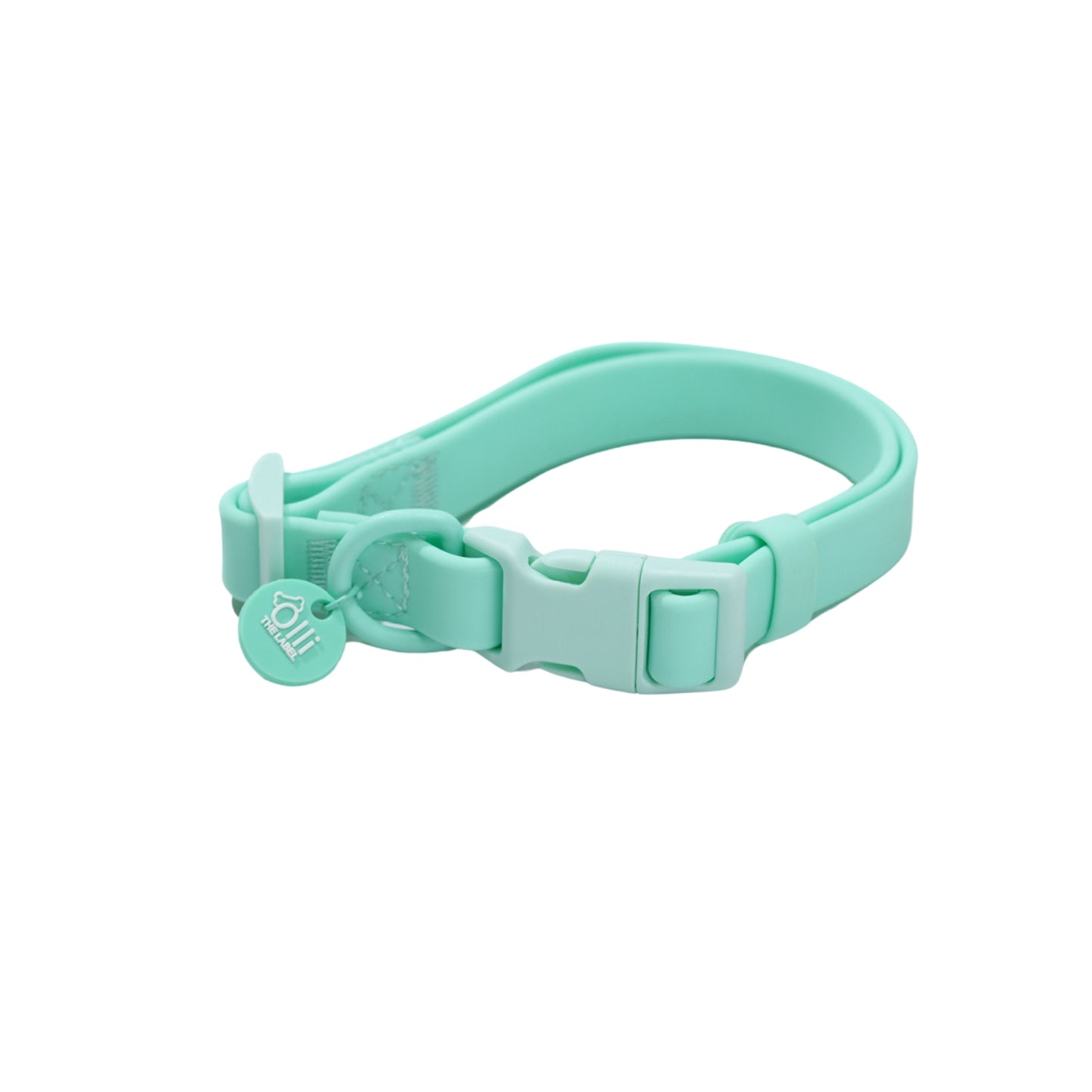 Turquoise Pawfect Pair- Waterproof Lead + Collar