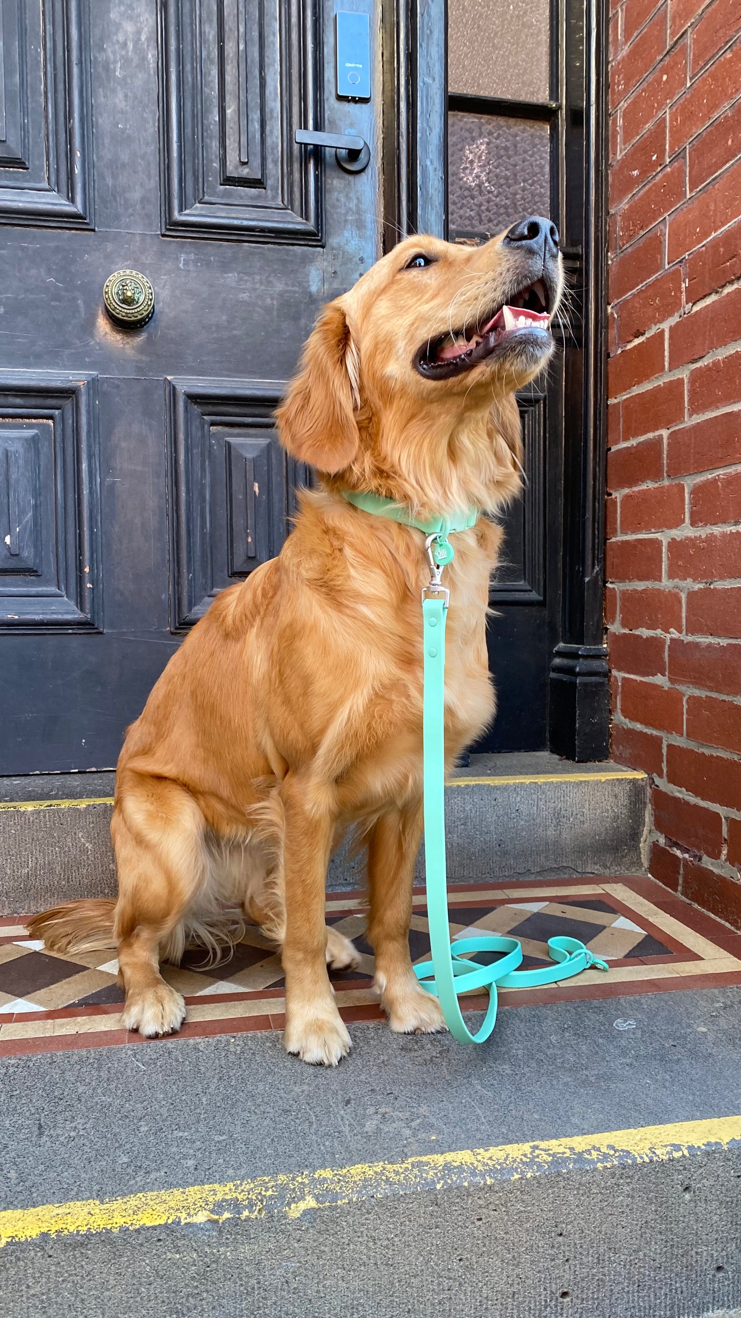 turquoise lead