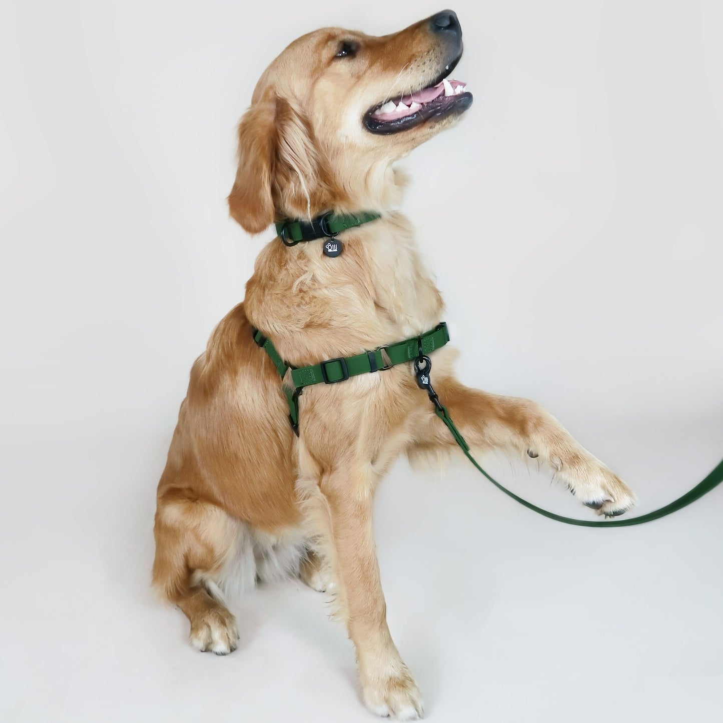 Camo Green Pawfect Pair- Waterproof Lead + Collar
