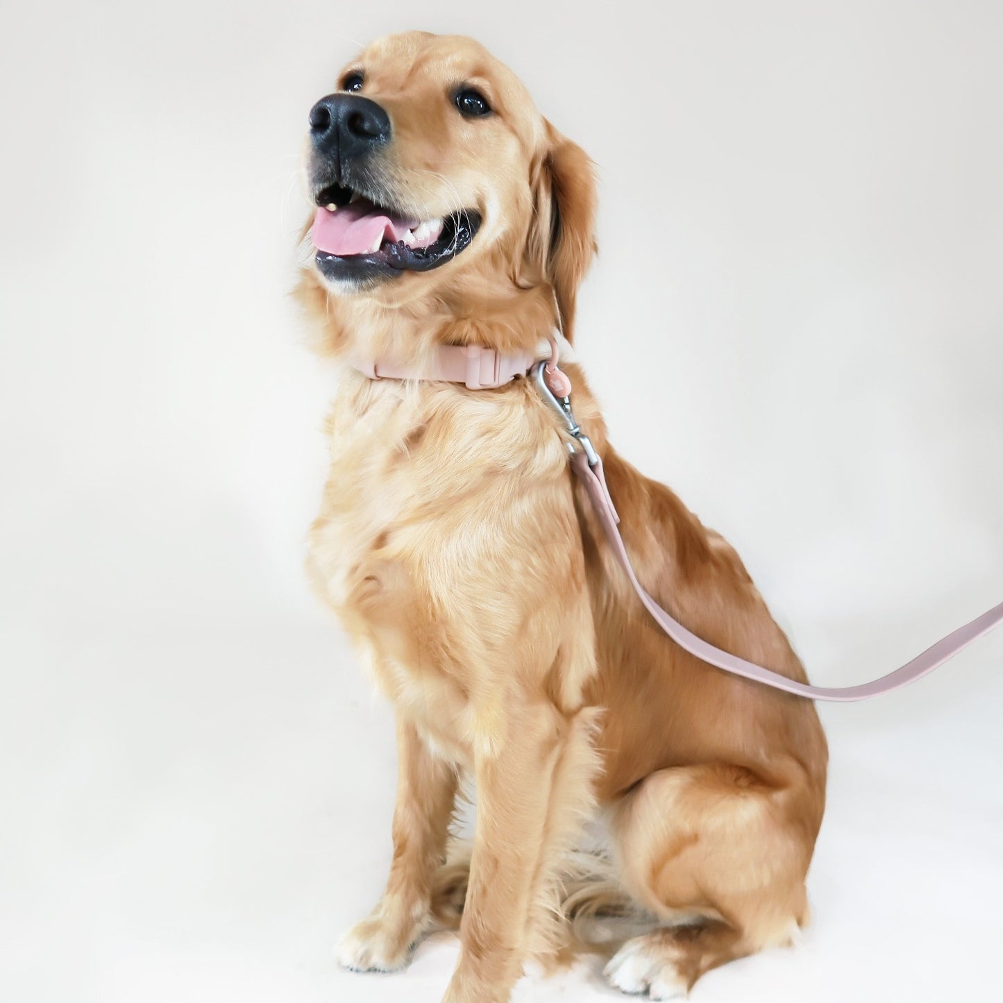 Waterproof Dog Collar – Pale Pink