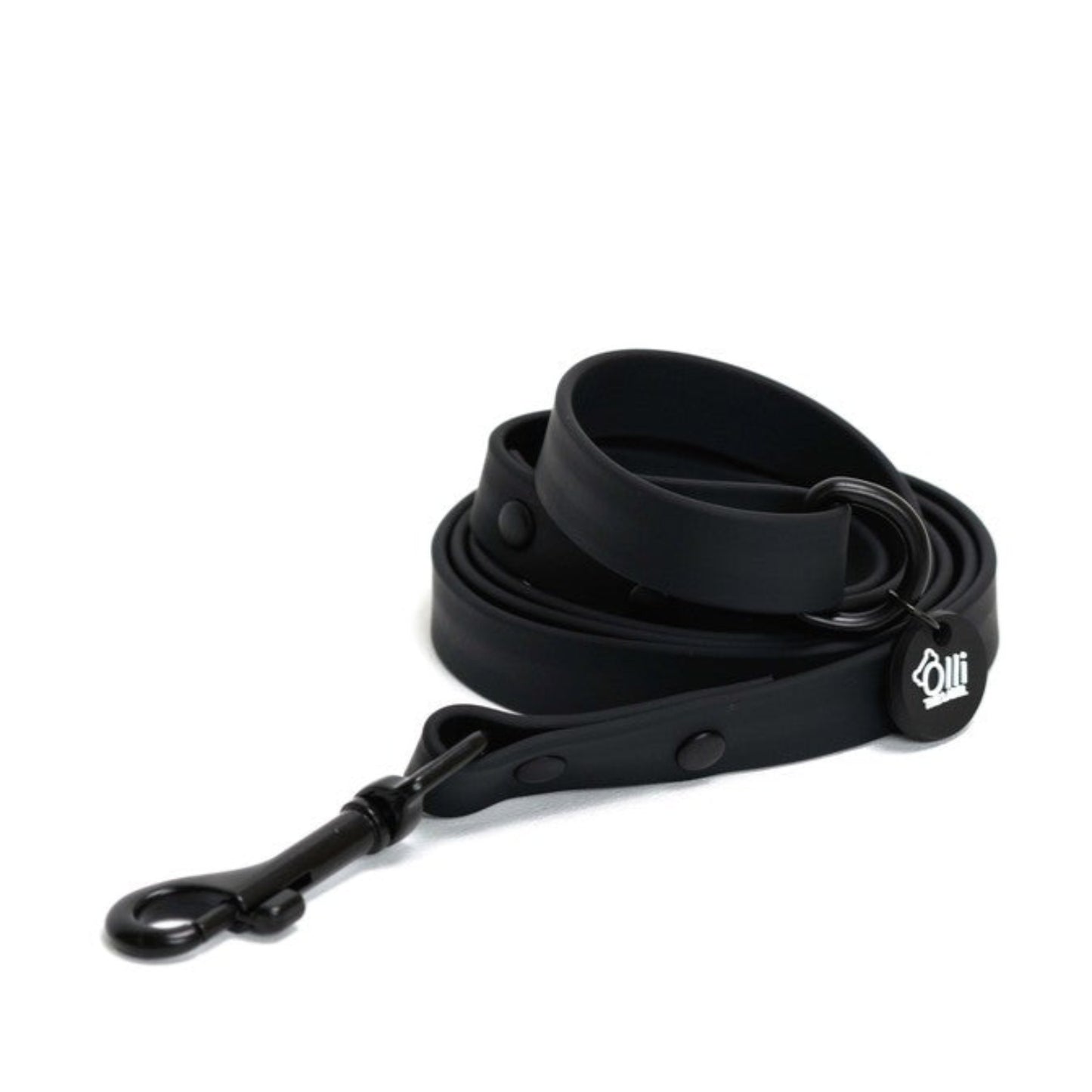 Neutral Black Pawfect Pair- Waterproof Lead + Collar