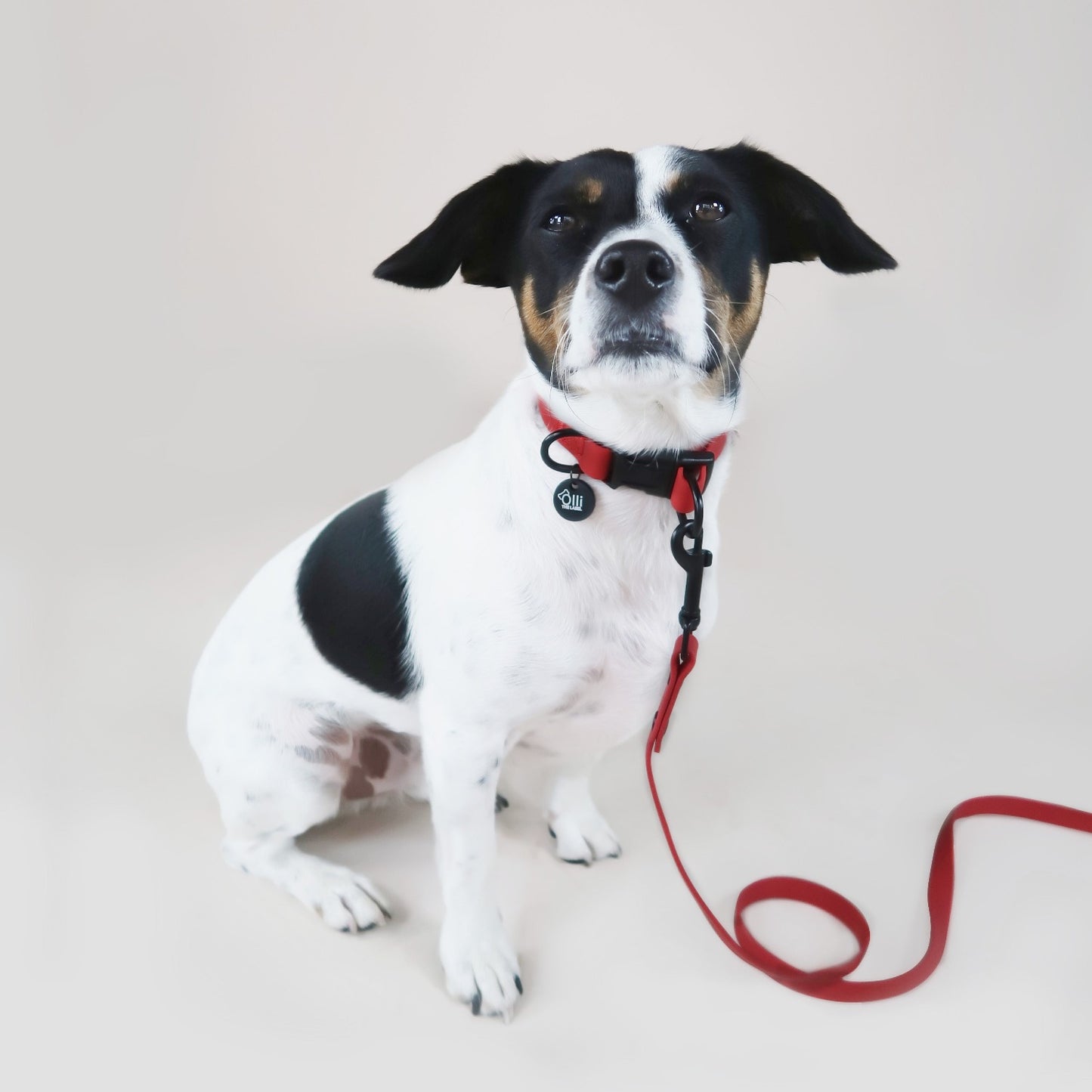Candy Red Waterproof Collar