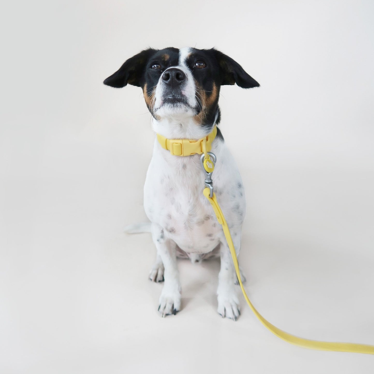 Mango Yellow Waterproof Collar
