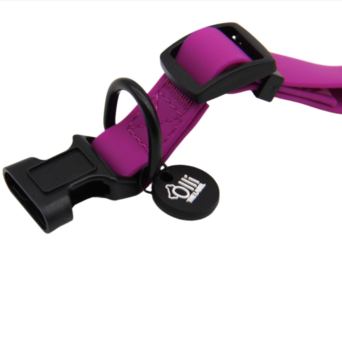 purple fuchsia collar