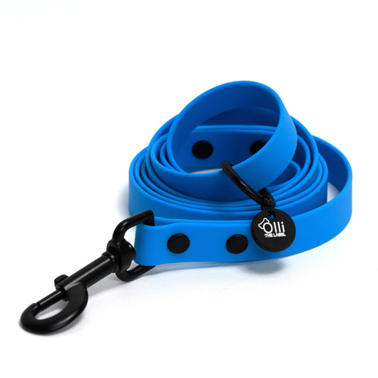 Olli blue lead