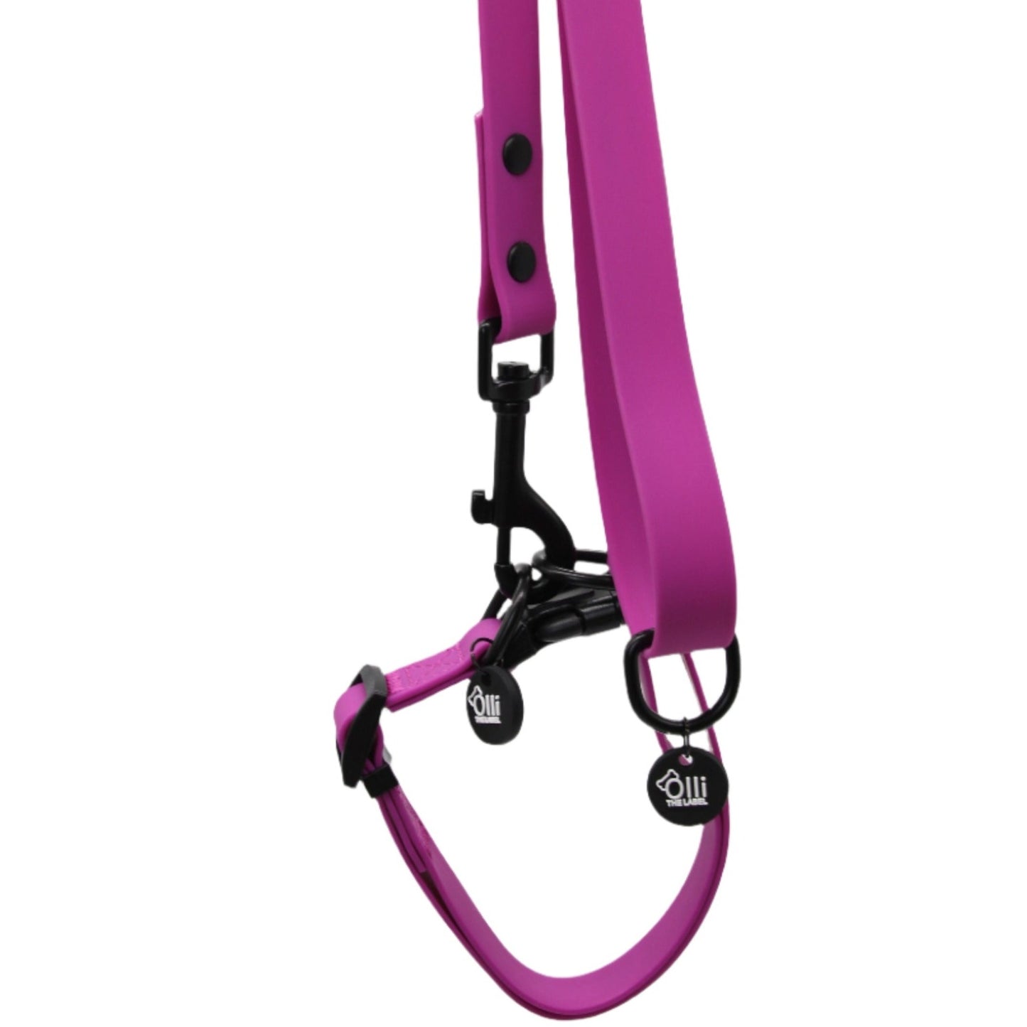 purple fuchsia lead + collar