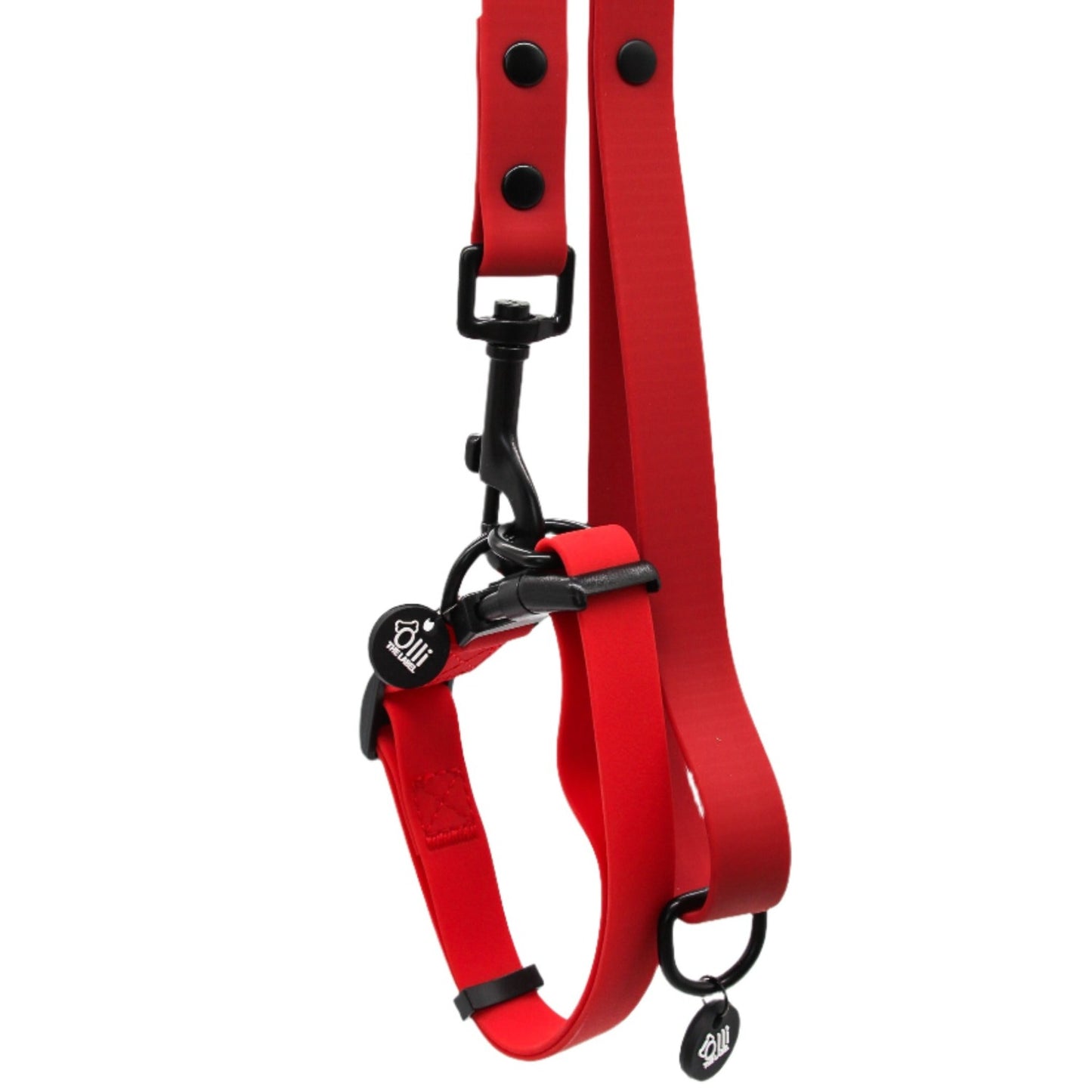 candy red lead + collar