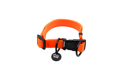 neon orange collar
