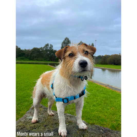 The future is waterproof