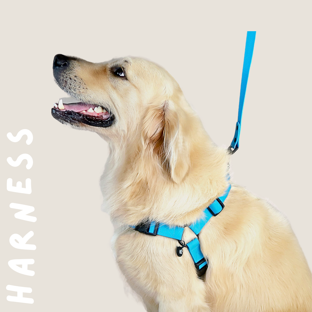 Harnesses