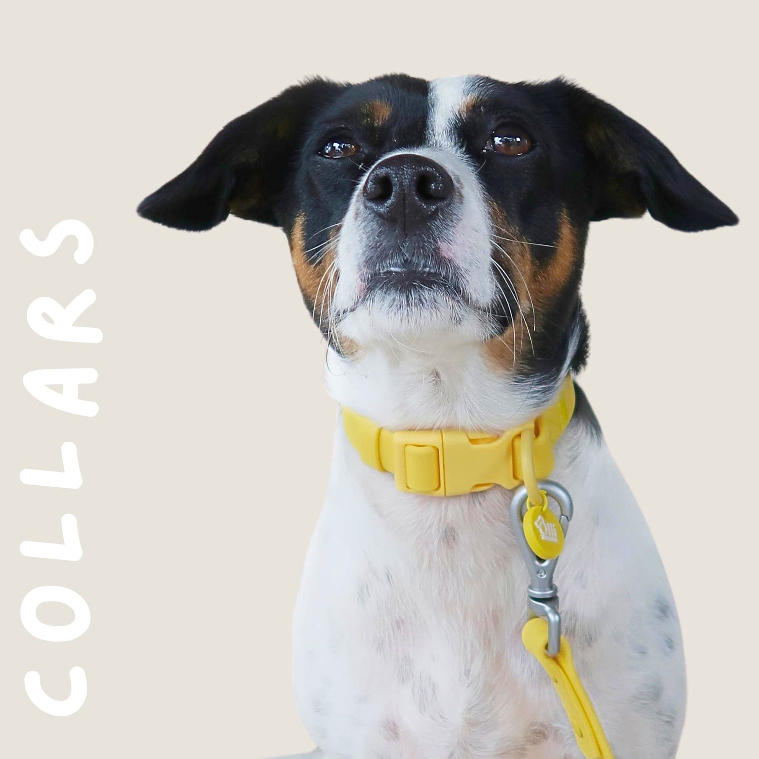 Collars