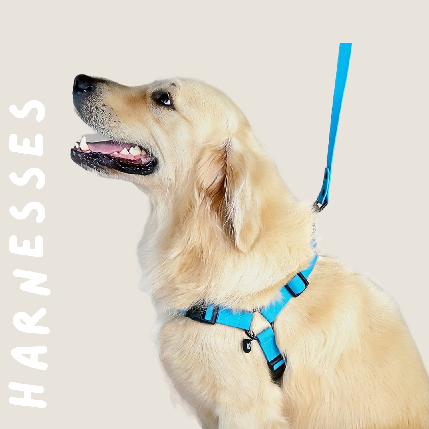 Harnesses