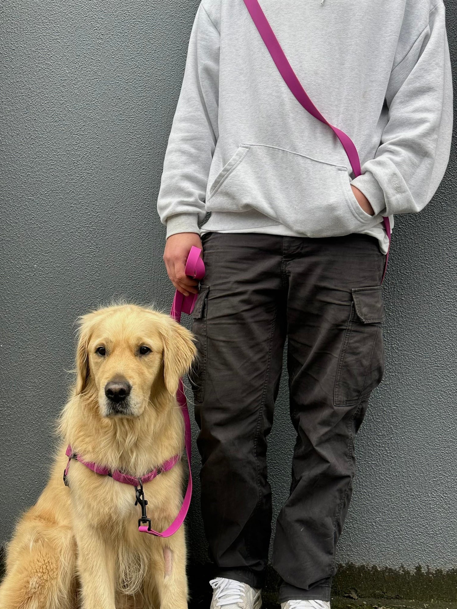 Harness + Lead