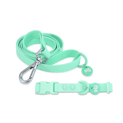 Waterproof Dog Lead and Collar Set – Turquoise
