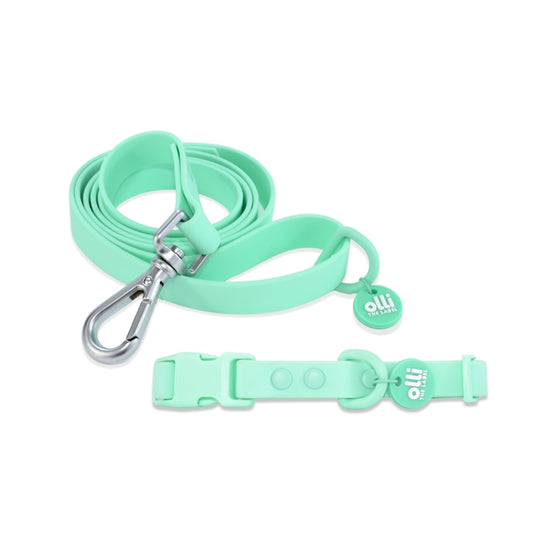 Waterproof Dog Lead and Collar Set – Turquoise