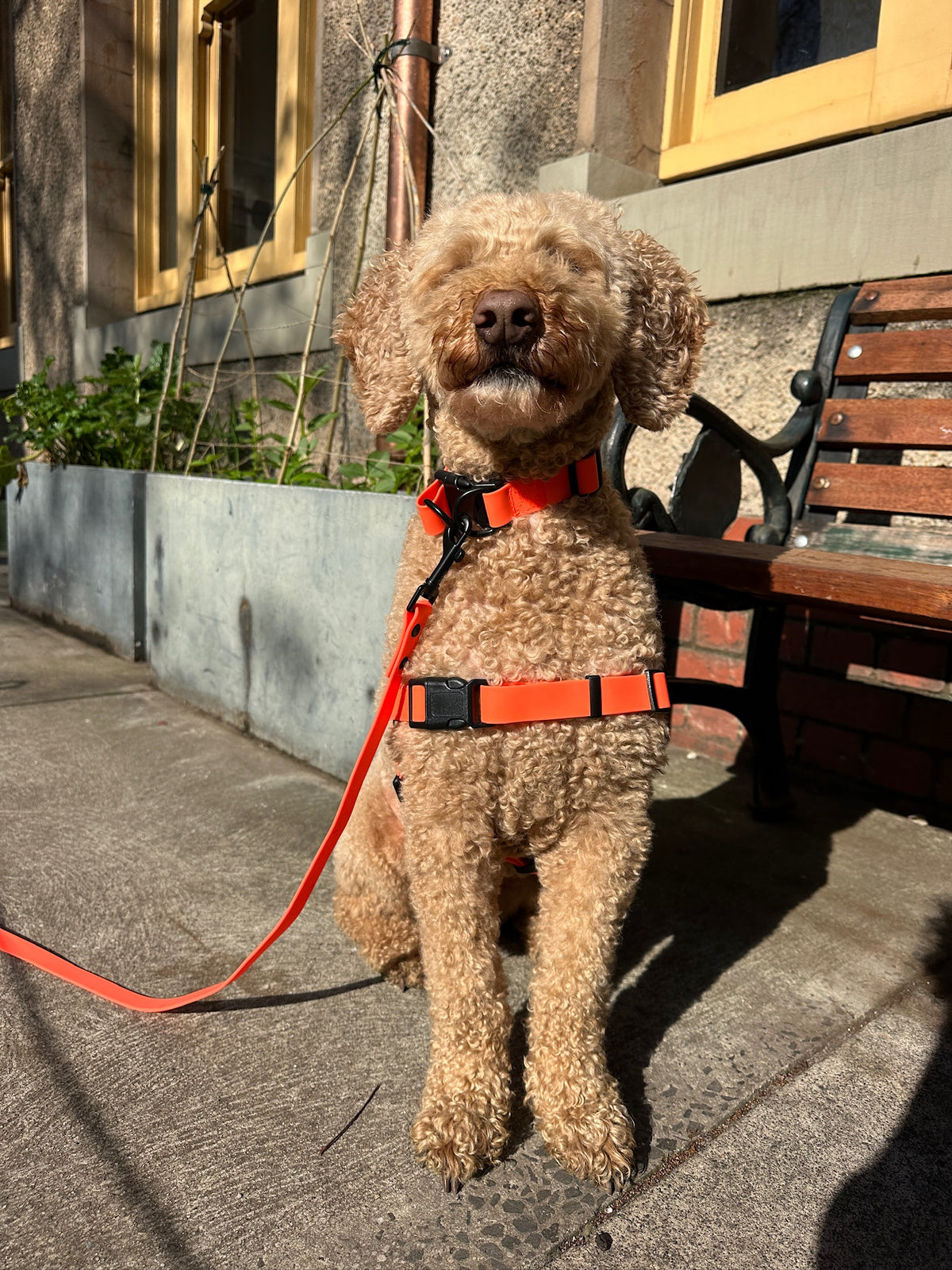 Olli Adventure Set - All Gear - Neon Orange