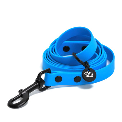 Waterproof Dog Harness and Lead Set – Olli Blue