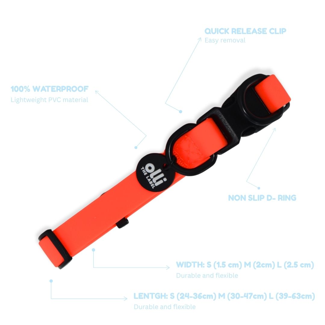Olli Adventure Set - All Gear - Neon Orange