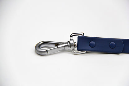 Berry Blue Pawfect Pair- Waterproof Lead + Collar