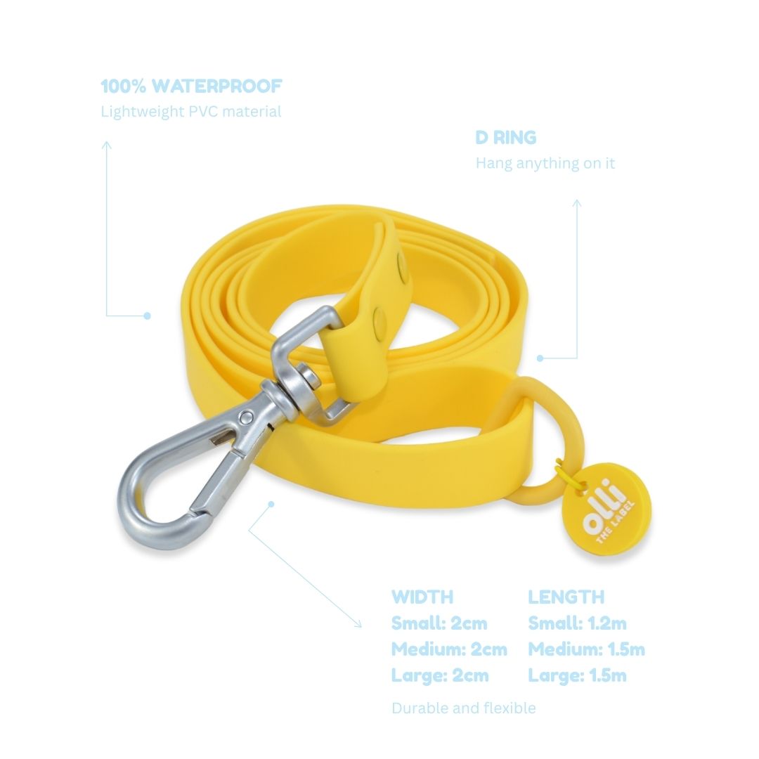 Lead + Collar Bundle- Mango Yellow