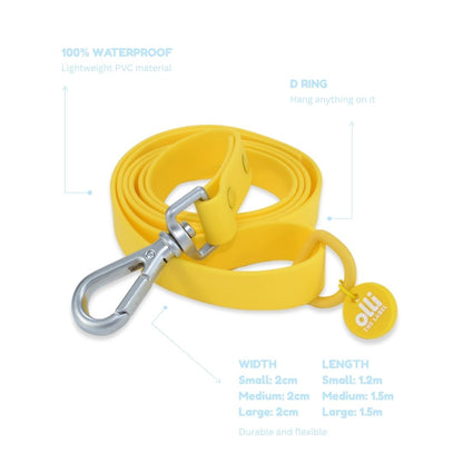Lead + Collar Bundle- Mango Yellow
