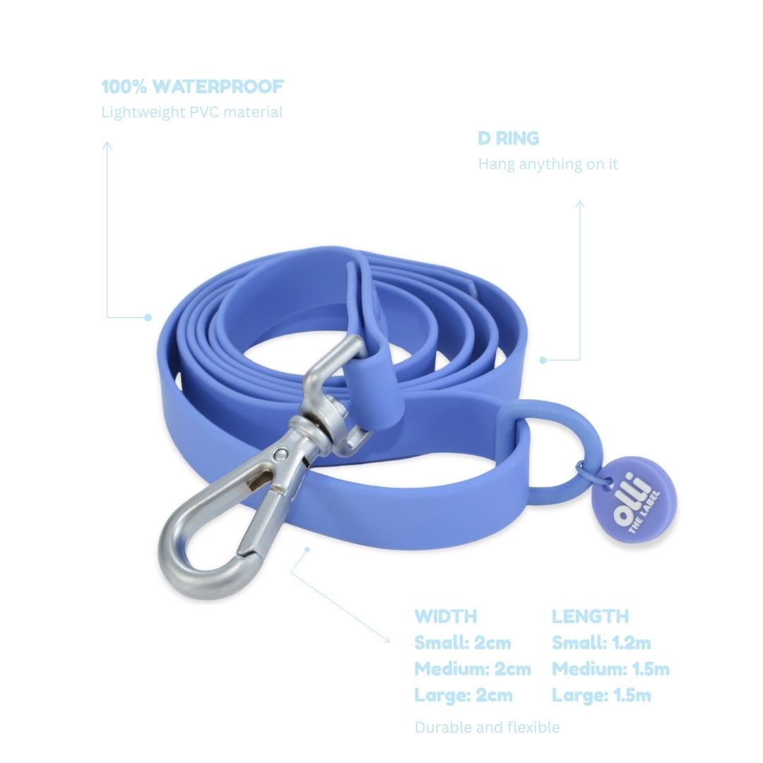 Lead + Collar Bundle- Periwinkle Purple