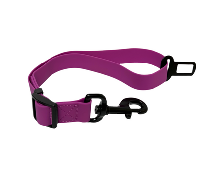 Purple Fuchsia Waterproof Full Set- Lead + Collar + Harness + Seat Belt