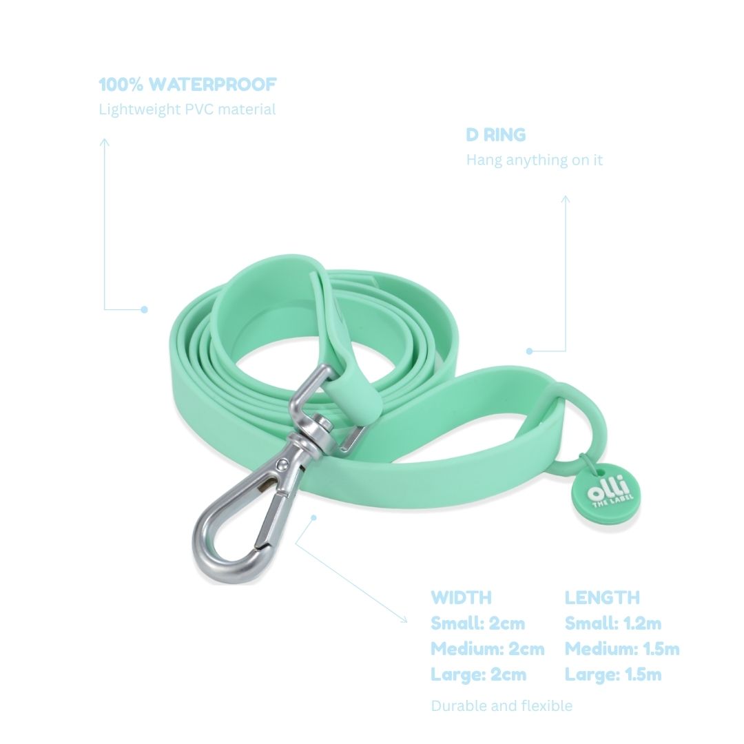 Lead + Collar Bundle- Turquoise