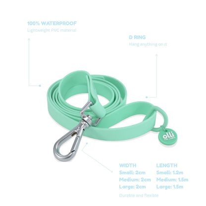 Lead + Collar Bundle- Turquoise
