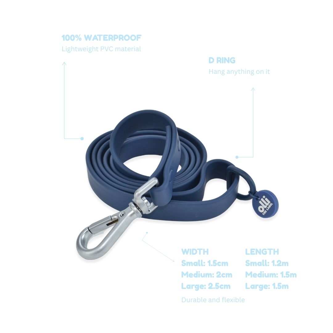 Lead + Collar Bundle- Berry Blue