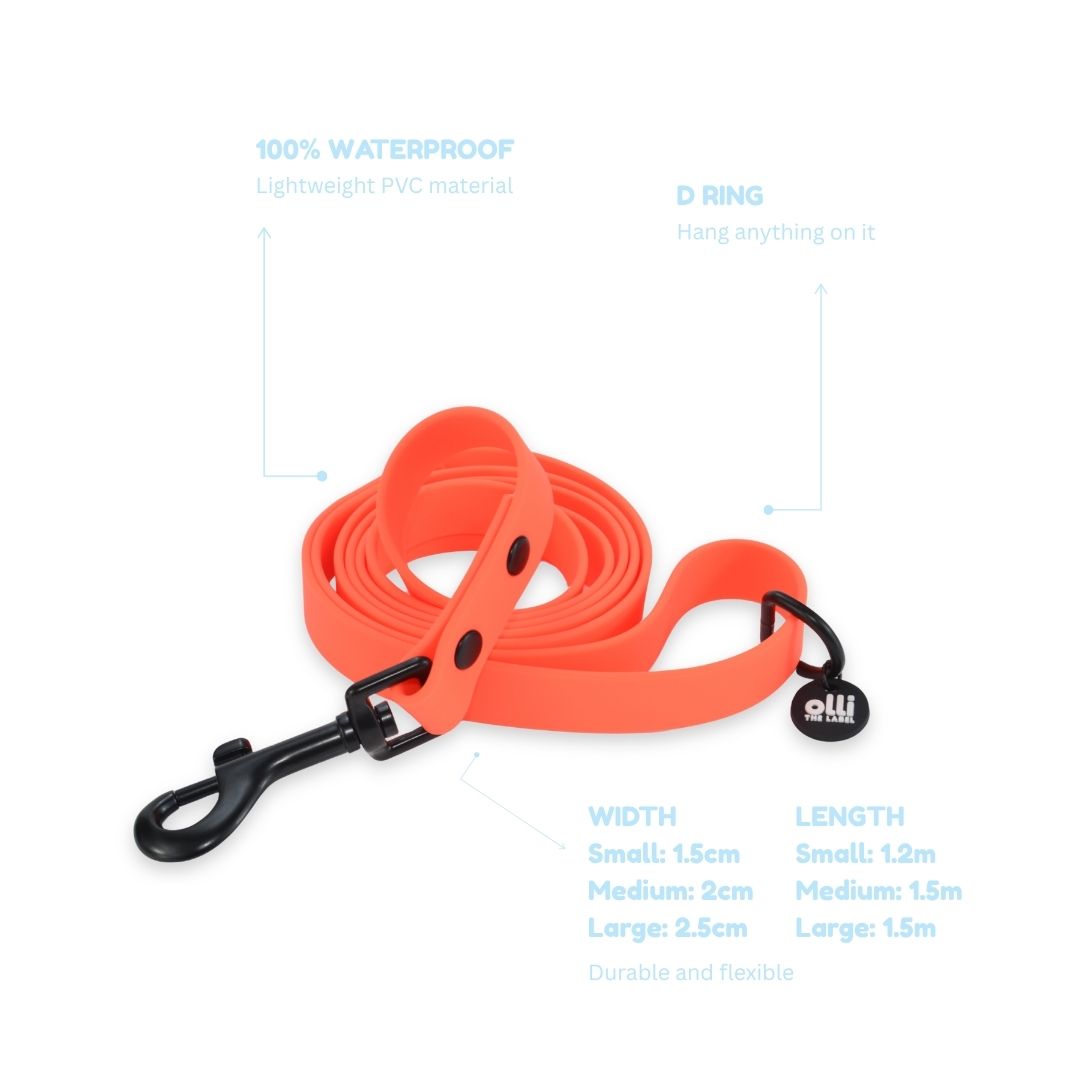 Lead + Harness Bundle- Neon Orange
