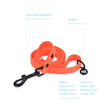 Lead + Harness Bundle- Neon Orange