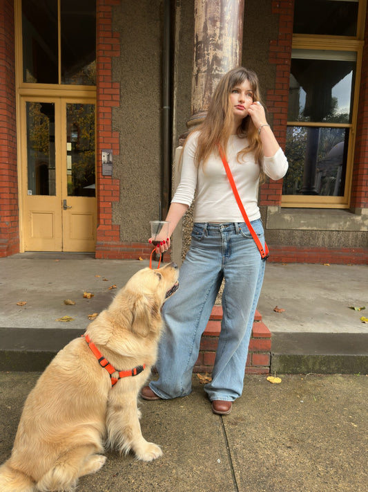 Waterproof Dog Lead – Neon Orange