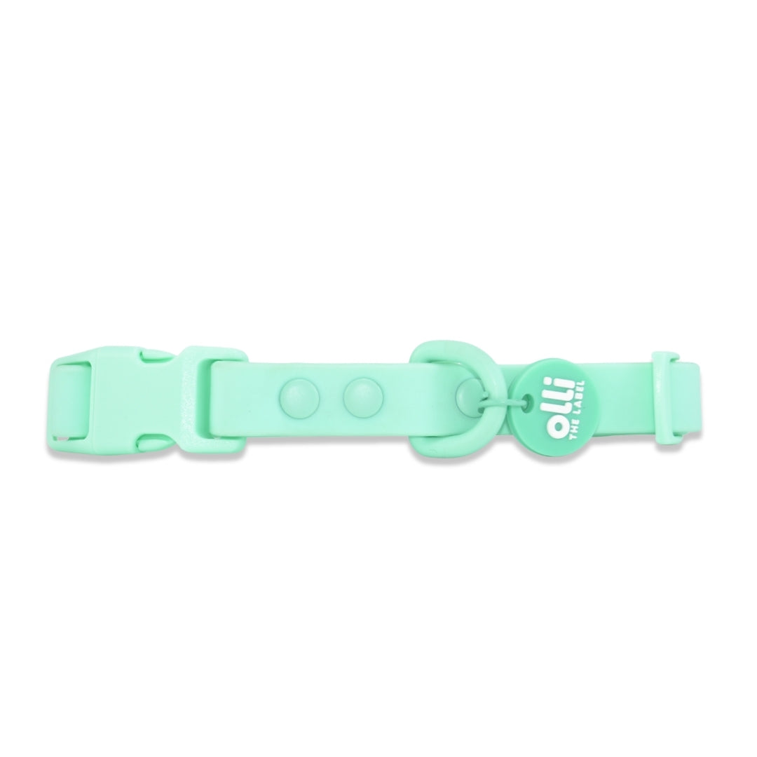 Waterproof Dog Lead and Collar Set – Turquoise