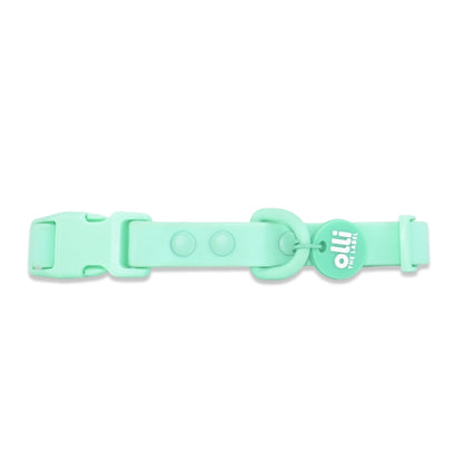 Waterproof Dog Lead and Collar Set – Turquoise