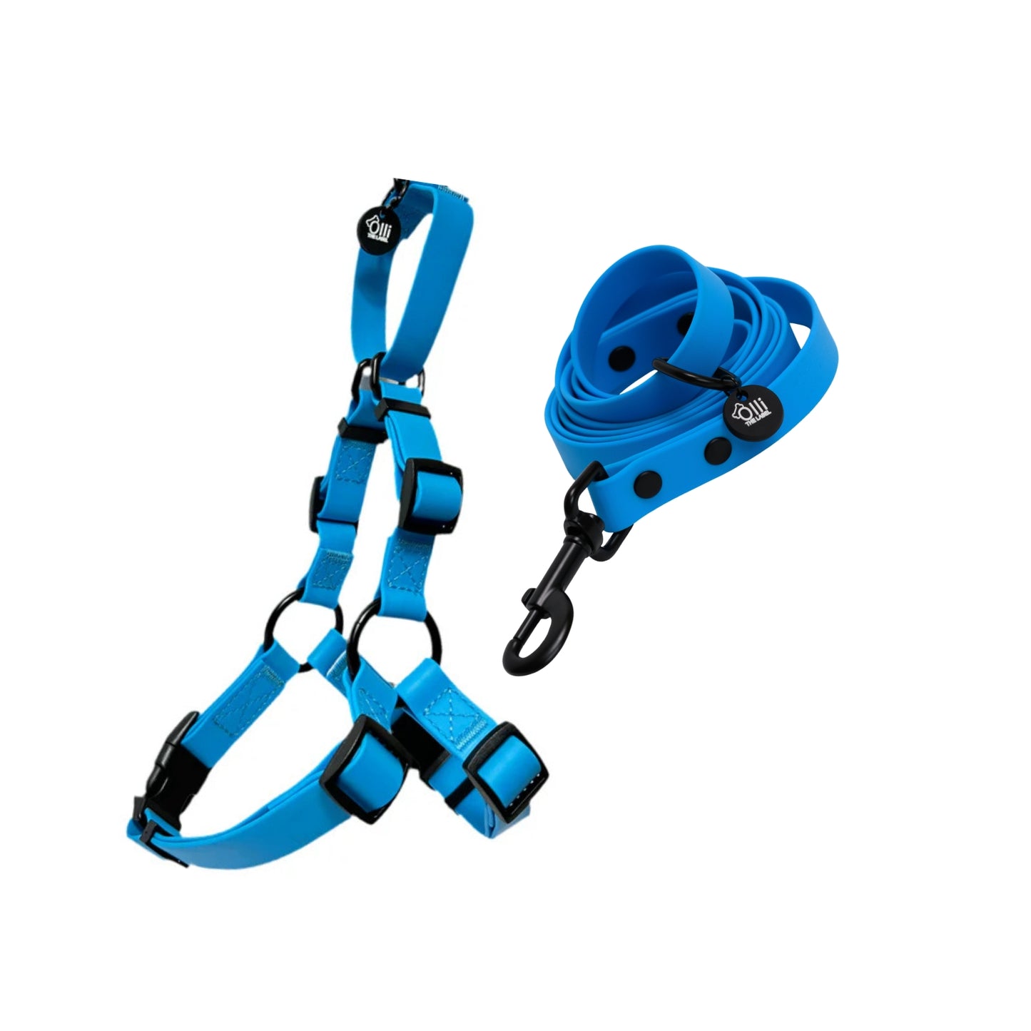 Olli Blue Harness + Lead Pair- Waterproof Lead + Harness