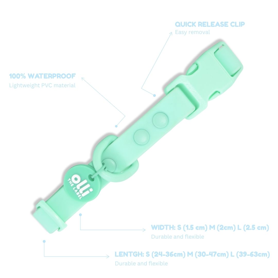 Everyday Set - Lead + Collar + Poop Bag Bundle - Turquoise