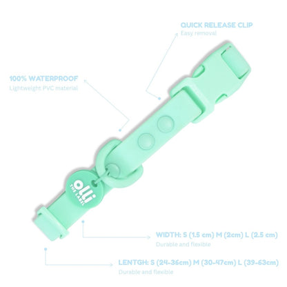 Everyday Set - Lead + Collar + Poop Bag Bundle - Turquoise