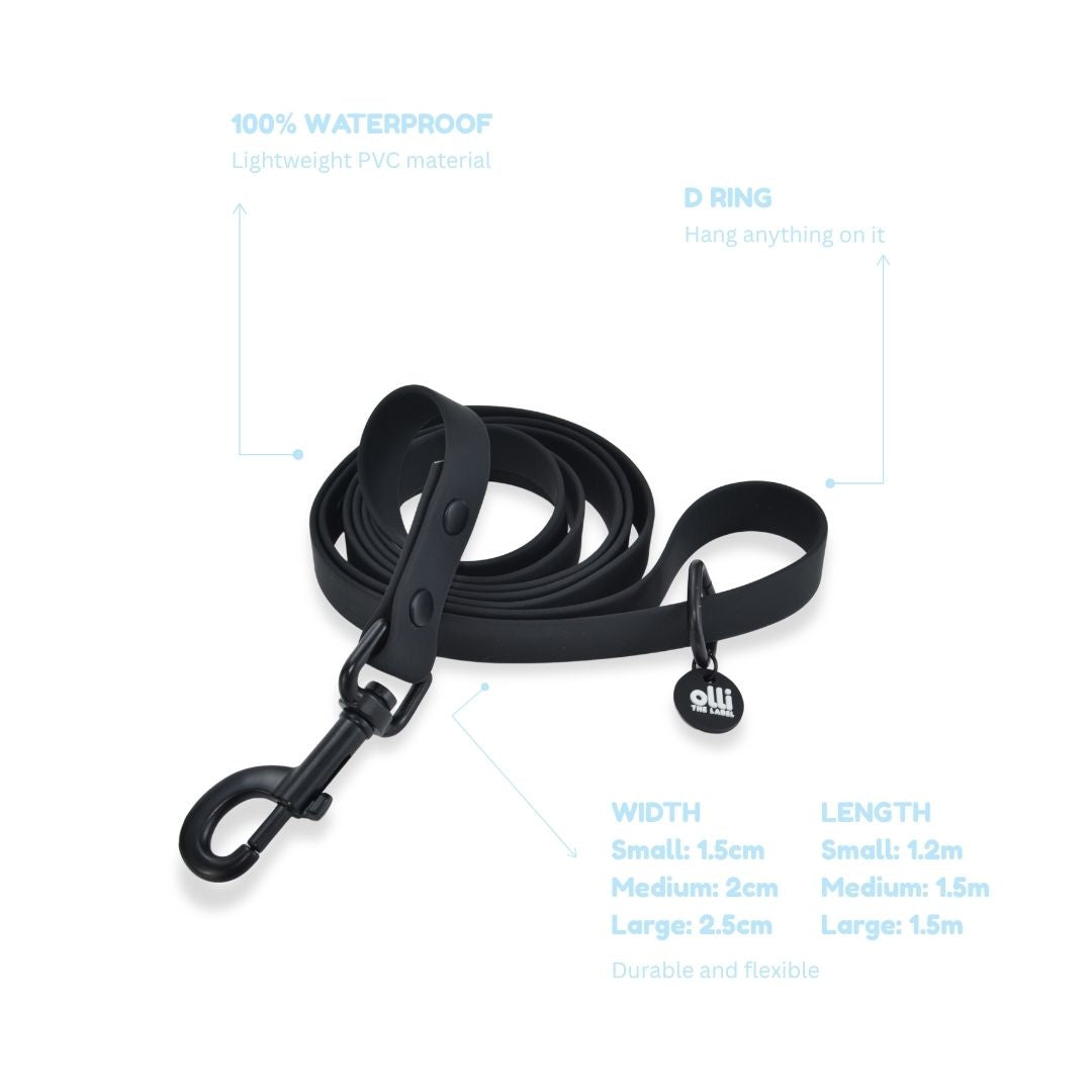 Lead + Collar Bundle- Neutral Black
