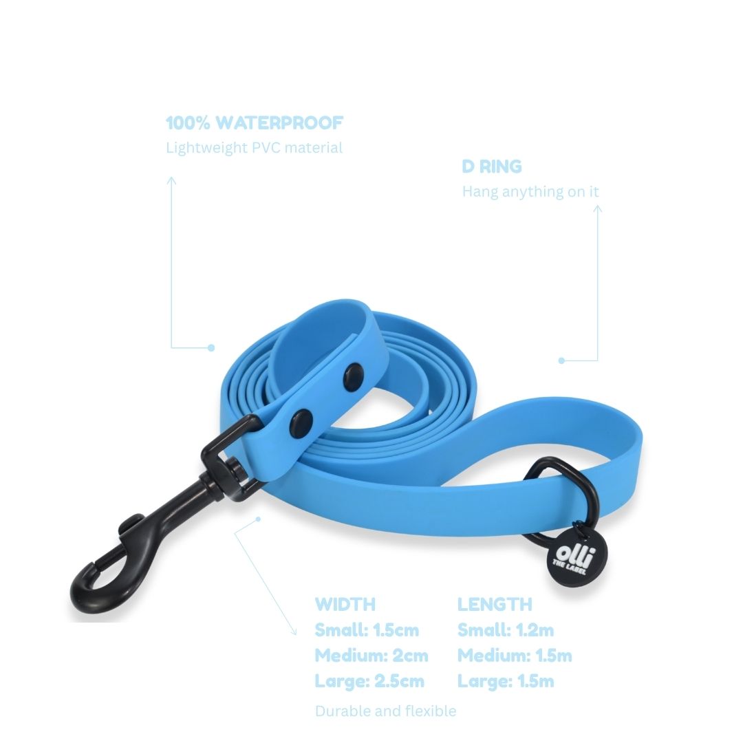 Lead + Collar Bundle- Olli Blue